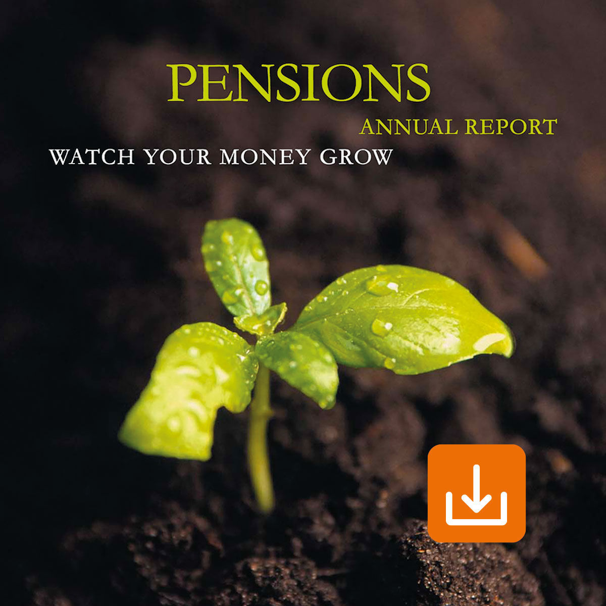 Pensions Annual Report